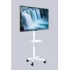 Gembird TV-Bodenständer mit Rollen für 32 Zoll–55 Zoll, weiß, VESA 100x100–400x400, 30 kg