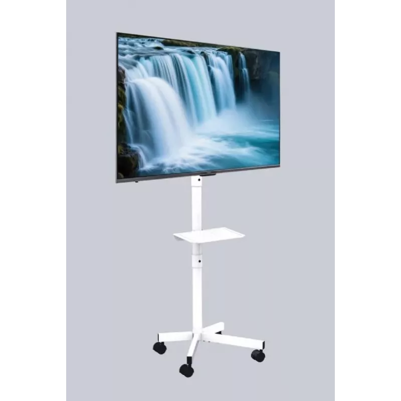 Gembird TV-Bodenständer mit Rollen für 32 Zoll–55 Zoll, weiß, VESA 100x100–400x400, 30 kg