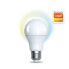 Intelligente Glühbirne Denver SHL-340