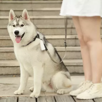 PETKIT Poop Bags