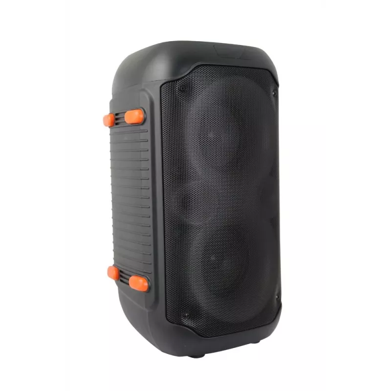 Esperanza EP156 BT FM LED RGB KARAOKE Lautsprecher Schwarz 20W