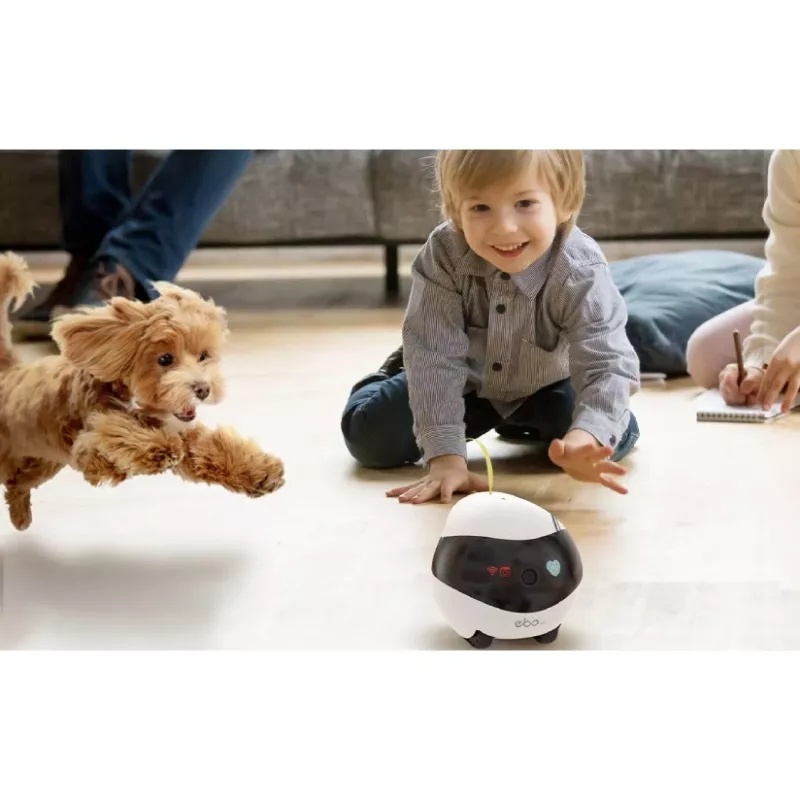 ENABOT Ebo Air AI Roboter Weiß und Schwarz