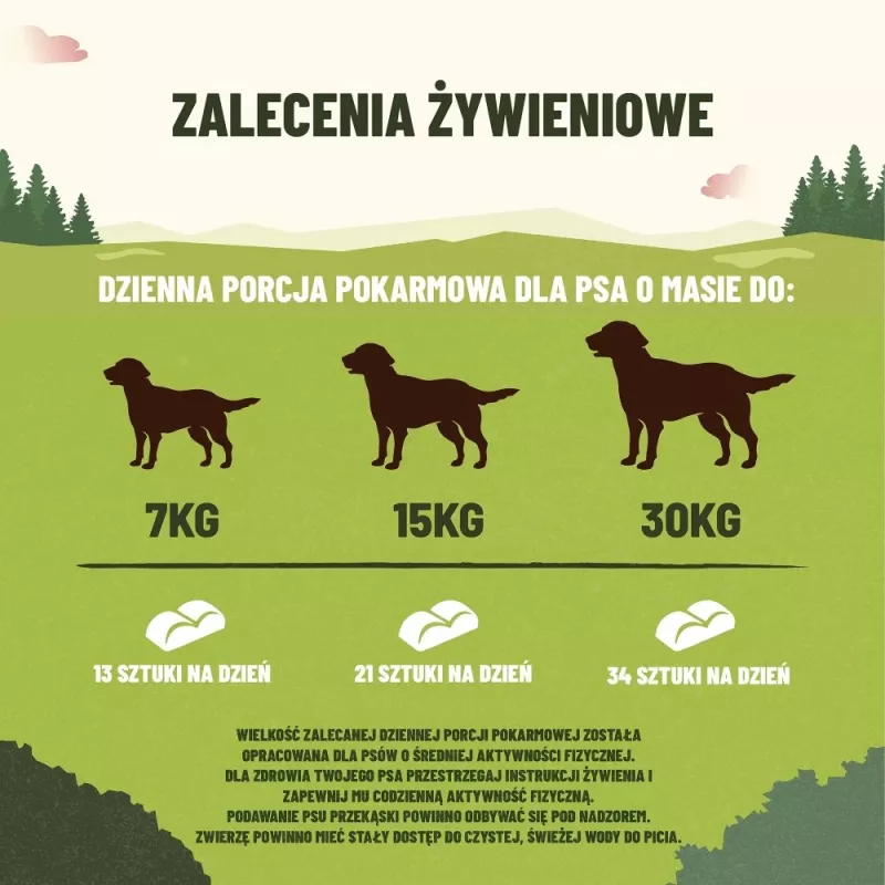 PURINA Adventuros Training Lachs - Hundeleckerli - 40 g