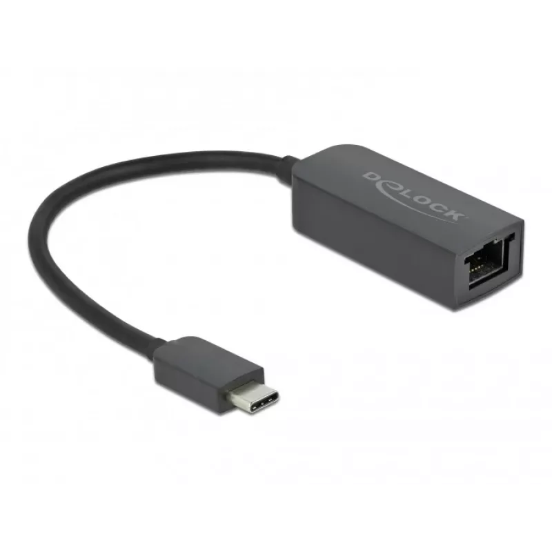 Adapter USB Type-C Stecker auf 2,5 Gigabit LAN kompakt DeLOCK 66645