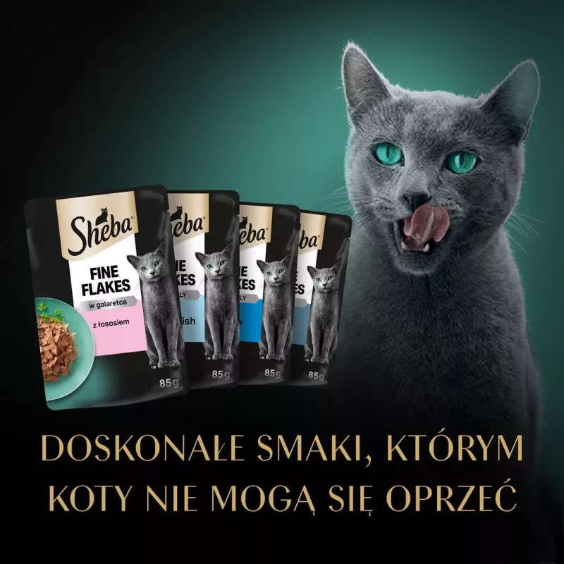 Sheba Delicacy Fischsorten in Gelee Nassfutter für Katzen, 80 x 85 g