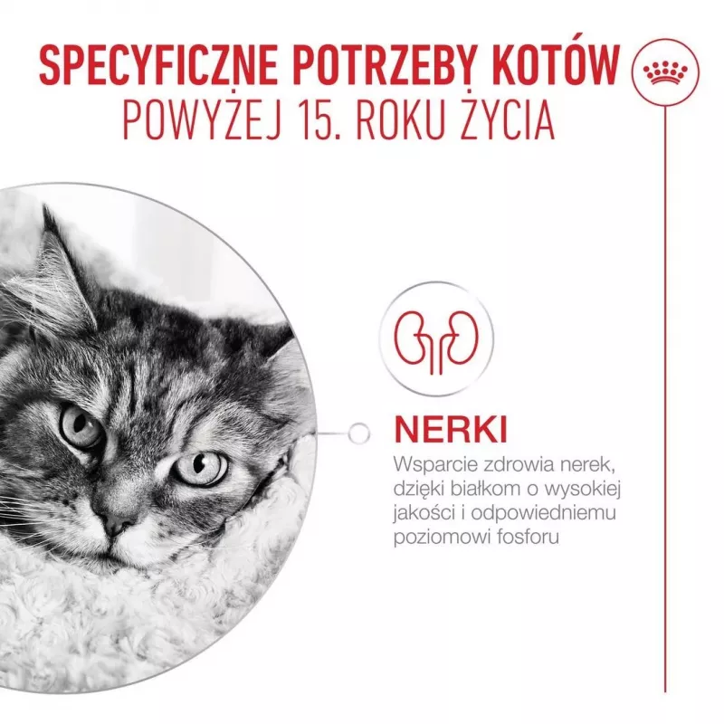 ROYAL CANIN Ageing 15+ Trockenfutter für Katzen – 4 kg
