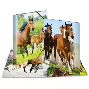 HERMA 7140 Polypropylen (PP) Mappe Mehrfarbig A4
