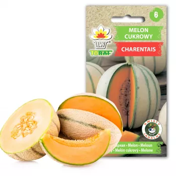 Charentais-Zuckermelone Toraf Gemüsesamen, 3g Packung