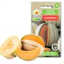Charentais-Zuckermelone Toraf Gemüsesamen, 3g Packung