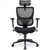 Bürostuhl Sharkoon OfficePal C40 — schwarz, ergonomisches Design, höhenverstellbar