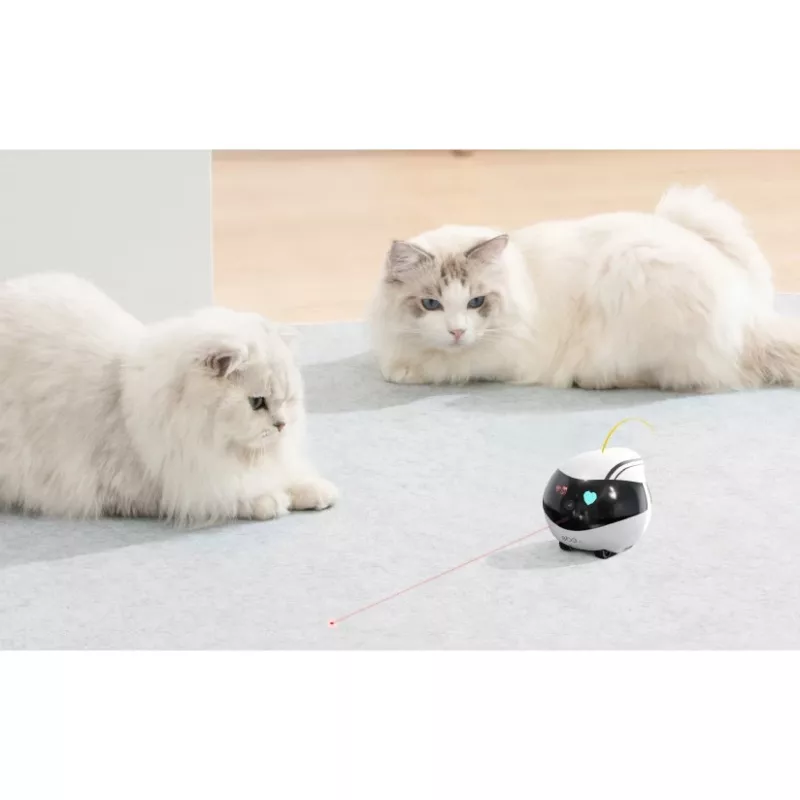 ENABOT Ebo Air AI Roboter Weiß und Schwarz