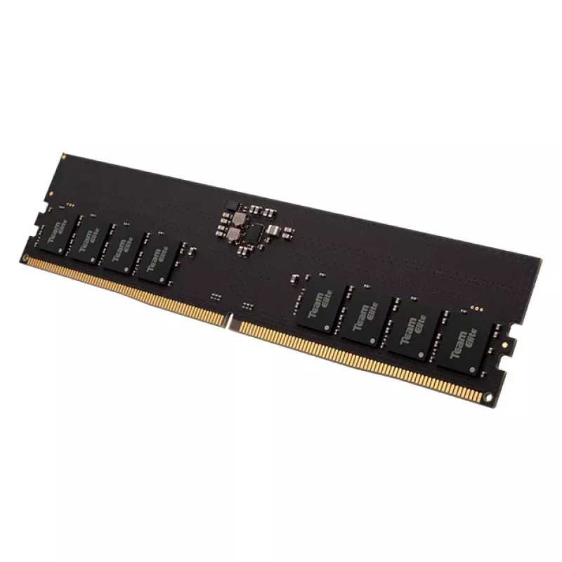 DIMM 16 GB DDR5-5600, Arbeitsspeicher schwarz, TED516G5600C4601, Elite, INTEL XMP