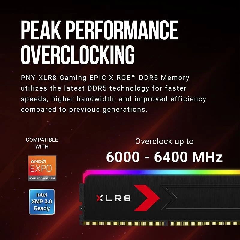 Memory PNY DDR5 32GB 5600 BULK