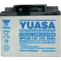Blei-Säure-Batterie Yuasa NPC38-12 12V 38Ah
