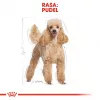 Royal Canin Poodle Adult Trockenfutter für Hunde 1,5 kg — Huhn, 30 % Protein, 19 % Fett