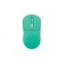 Kabellose Maus Fury Tanto T4 Mintgrün — einstellbare DPI, USB-Empfänger, ergonomisches Design