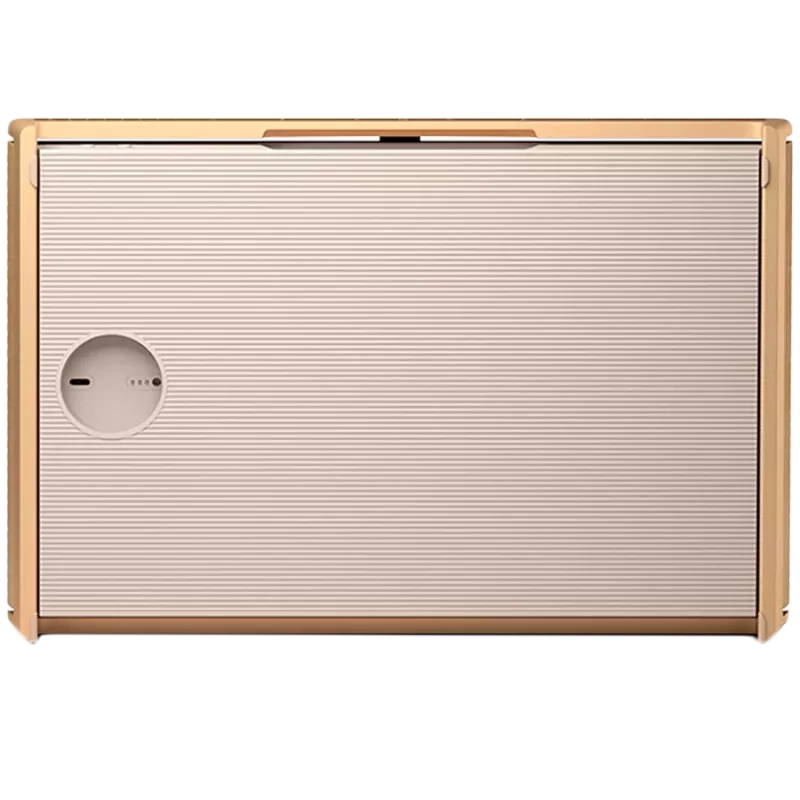 Beosound Level Lautsprecher Gold Tone Alu (Abdeckung Light Oak)