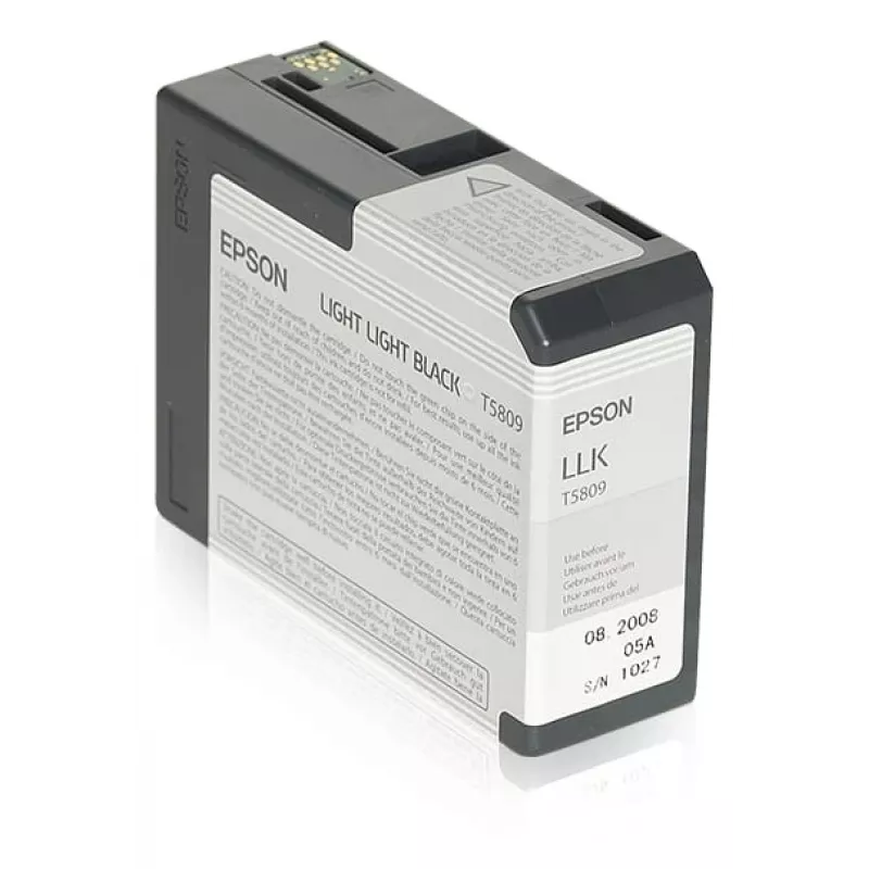 Epson Singlepack Light Light Black T580900, Hell helles Schwarz, Pigmenttinte, 80 ml, 1 Stück
