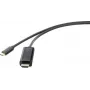 Renkforce RF-4531590 Kabeladapter USB-C HDMI Schwarz (RF-4531590)