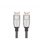 DisplayPort-Kabel LANBERG CA-DPDP-20CU-0010-BK — DisplayPort auf DisplayPort, 1 m, Schwarz/Silber