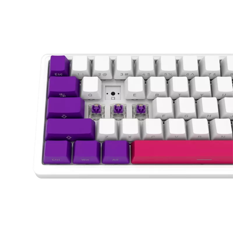 LORGAR KBP70MW, Kabellose 65% Mechanische Gaming-Tastatur Pro, Weiß, EN-Layout