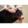 Ohrreinigungslösung VIRBAC EPI-OTIC S-I-S für Hunde und Katzen 60 ml