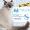 INABA Churu Skin&Coat Chicken Rezept – Katzensnacks – 4x14 g