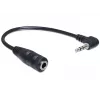 Audiokabel DeLOCK 65397 0,14 m 2,5 mm Stecker auf 3,5 mm Buchse Schwarz