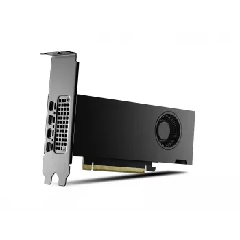 PNY NVIDIA RTX 2000 Ada Generation 16 GB Low Profile, PCIe 4.0 x16, Dual Slot, 4x Mini DP 1.4a, 16 GB GDDR6 ECC 128-Bit, HDCP 2.2, HDMI 2.0, Small Box