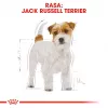 ROYAL CANIN Jack Russell Adult - Trockenfutter für Hunde - 7,5 kg