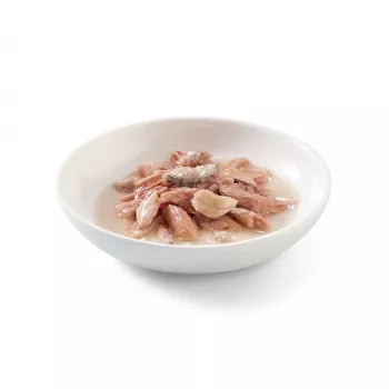 SCHESIR in Kochbrühe Thunfisch mit Sardinen - Nassfutter für Katzen - 70 g