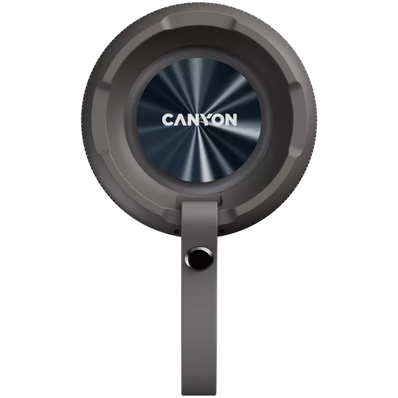 Canyon CNE-CBTSP15BG Tragbarer Lautsprecher Beige