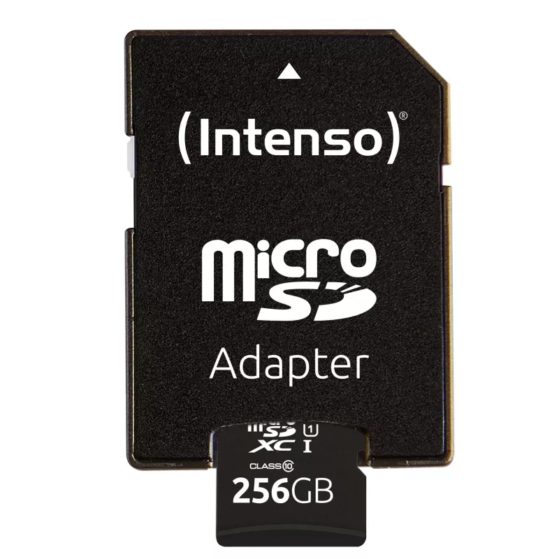 Flash Memory Intenso 256GB UHS-I MicroSD Karte