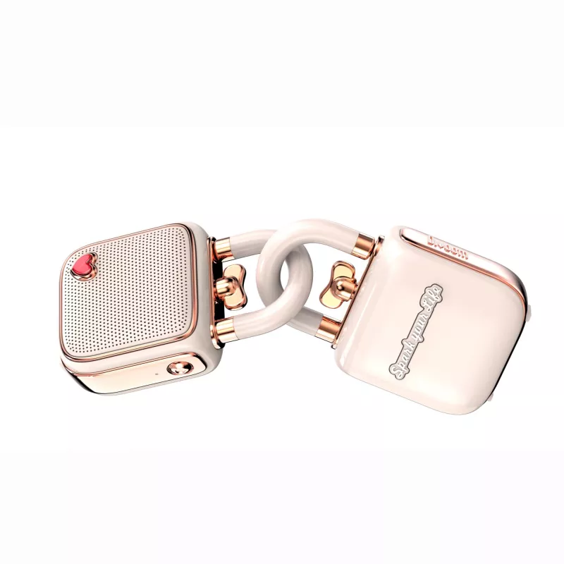 Tragbarer Mono-Lautsprecher Divoom LoveLock Pink