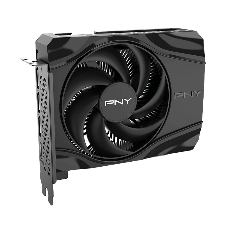 PNY GeForce RTX 5060 8GB Grafikkarte