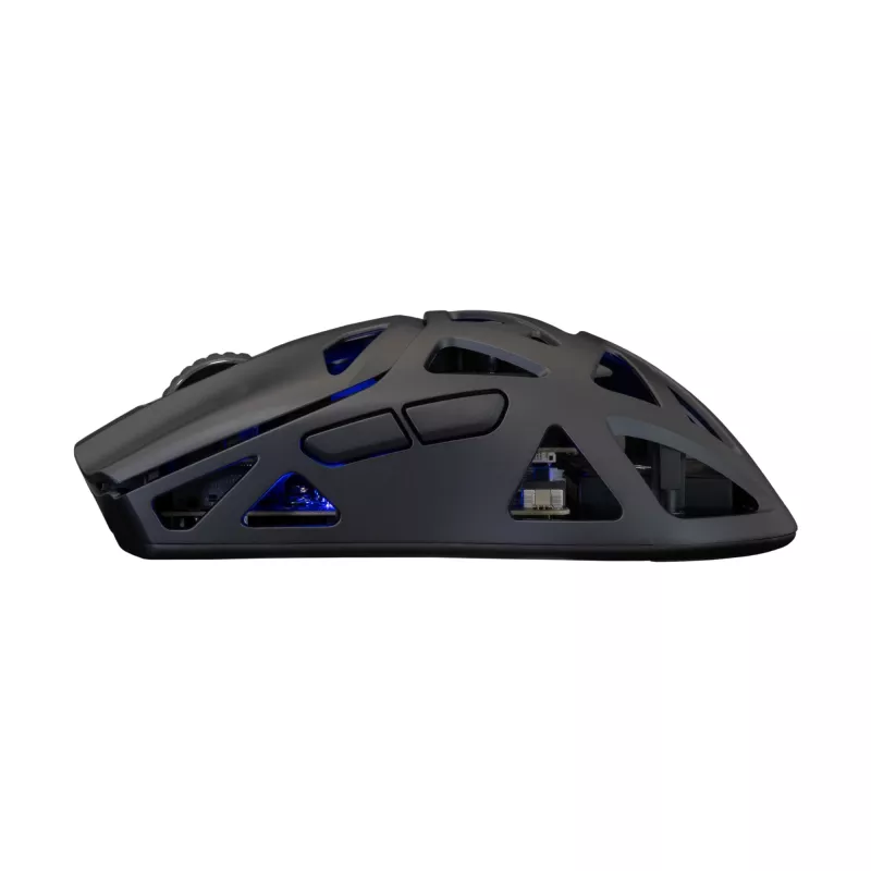 White Shark WGM-5019 Dagonet Wireless 24000 dpi Schwarz