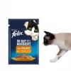 Nassfutter für Katzen Purina Felix proteinreich 100 g Beutel — Geschmack Fisch & Huhn, ausgewachsene Katzen, Packung mit 120