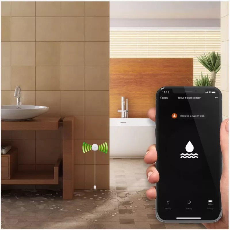 Überflutungssensor Tellur WiFi AAA Weiß – kabelloser Wassermelder, batteriebetrieben (AAA)