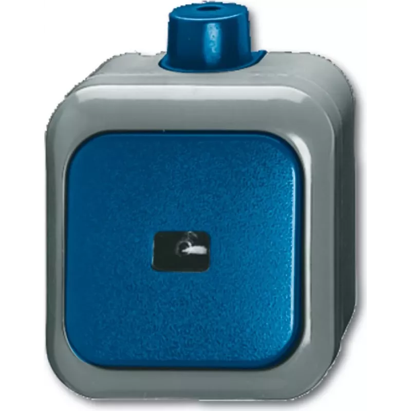 BUSCH JAEGER 2621 WDI - 1P - Green - Grau - 250 V - 74 mm - 54 mm - 80 mm
