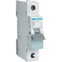 Hager MCS125. Bemessungsstrom: 25 A. Typ: C-Charakteristik, Modulanzahl (max.): 1 Modul(e). Breite: 17,5 mm, Tiefe: 70 mm, Höhe: 83,4 mm (MCS125)