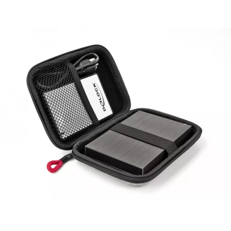 DeLOCK Schutztasche für 2,5-Zoll-SSDs, externe Gehäuse und Festplatten bis 12 x 8 x 2 cm