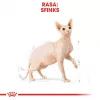 Trockenfutter für Katzen Royal Canin Sphynx Adult 2 kg — Schweinefleischgeschmack, 33 % Protein, 23 % Fett
