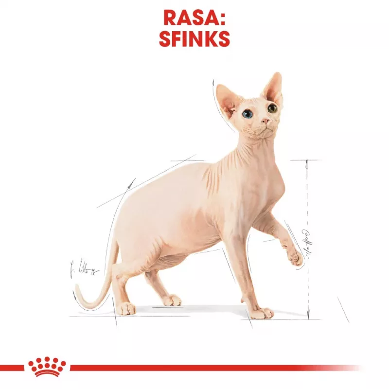 Trockenfutter für Katzen Royal Canin Sphynx Adult 2 kg — Schweinefleischgeschmack, 33 % Protein, 23 % Fett