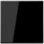 JUNG LS1700SW LS1700SW Steuertaster Standard (LS1700SW)