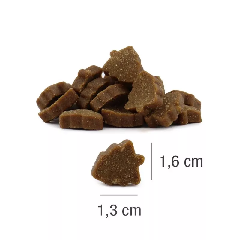 PLATINUM Xmas-Bits Iberico - Hunde-Leckerli - 150g
