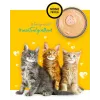 3COTY Chicken Für Kätzchen - Nassfutter für Katzen - 80g