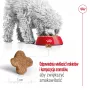 Trockenfutter für Hunde Royal Canin Mini Adult 8+ 2 kg — kleine Rassen 5–10 kg, Geflügel, gewichtskontrollierende Formel