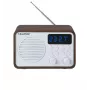 Tragbares Radio mit Bluetooth und USB BLAUPUNKT PP7BT, Farbe: braun Holz/weiß