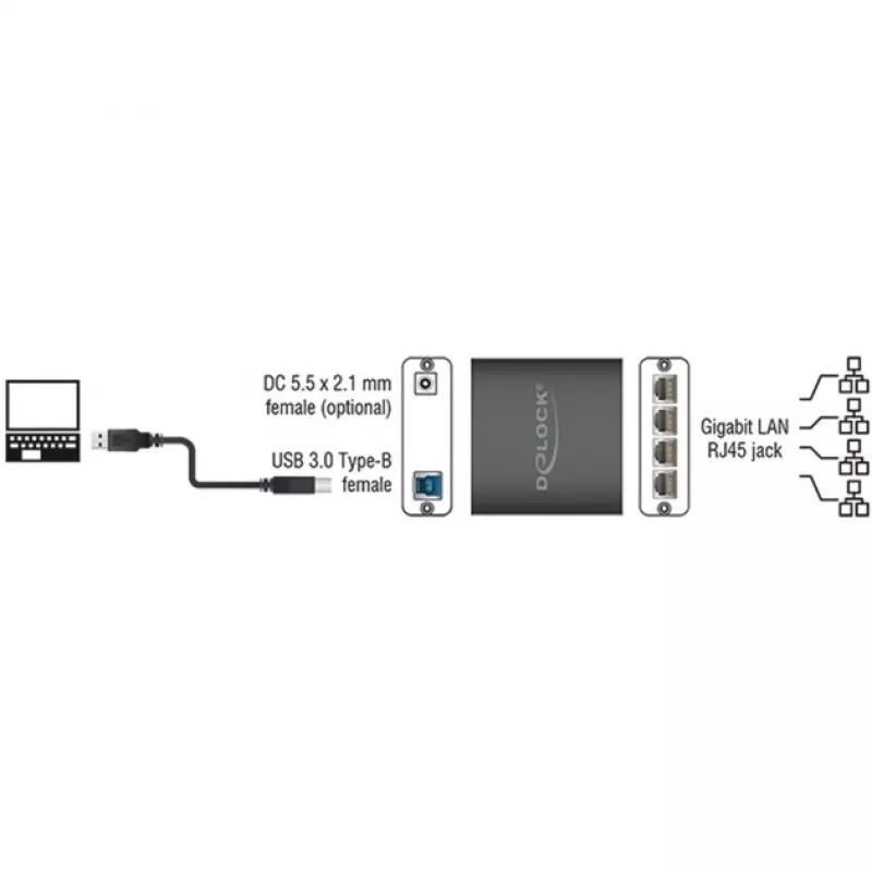 Interface Hub DeLOCK 62966 Schwarz
