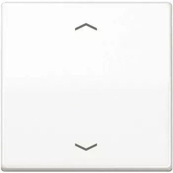 JUNG AS 1700 P WW Steuertaste Standard Pfeilsymbole AS1700PWW